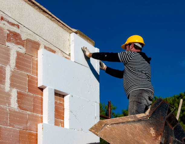 Best Cellulose Insulation in Lago Vista, TX
