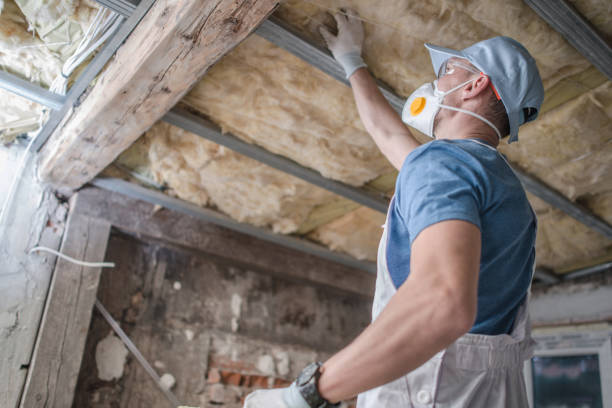 Best Specialized Insulation Services in Lago Vista, TX