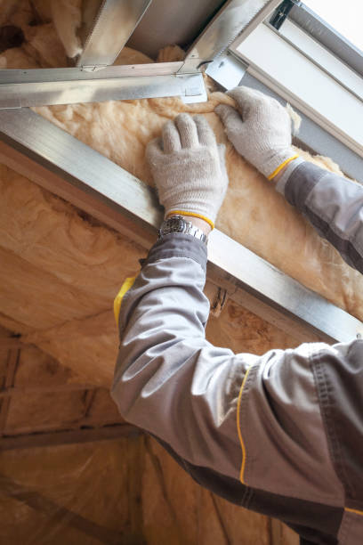 Professional Insulation Contractor in Lago Vista, TX