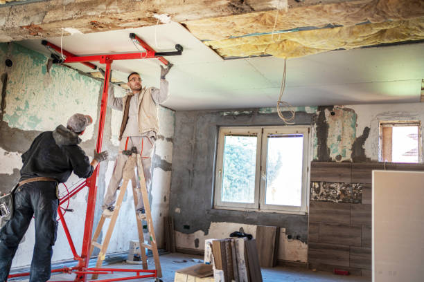 Best DIY Insulation Kits and Guidance in Lago Vista, TX