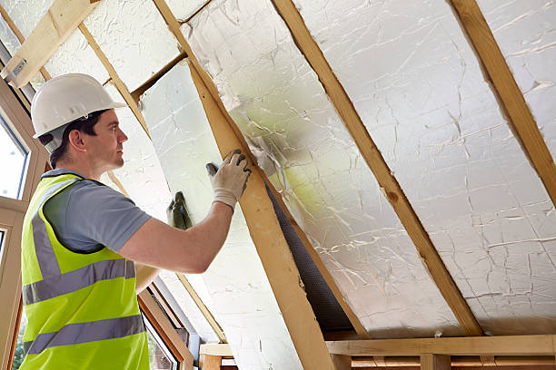 Best Residential Insulation in Lago Vista, TX