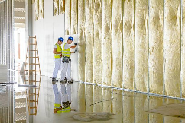 Best Insulation for Specific Applications in Lago Vista, TX